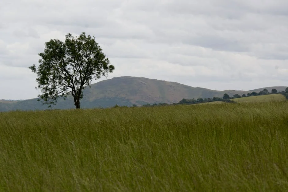 Air fryer uk - stock photo